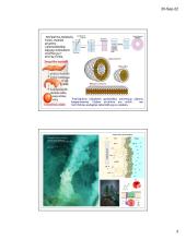 Ląstelių plazminė membrana ir medžiagų transportas 3 puslapis