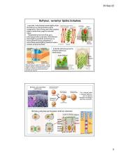 Ląstelių plazminė membrana ir medžiagų transportas 5 puslapis