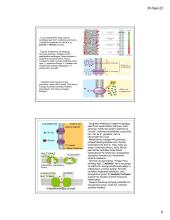 Ląstelių plazminė membrana ir medžiagų transportas 8 puslapis