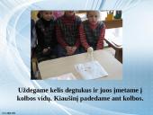 Gamtamokslinis eksperimentas „Stebuklingas kiaušinis“ 5 puslapis