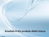 Gamtamokslinis eksperimentas „Stebuklingas kiaušinis“ 6 puslapis