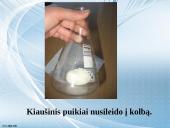 Gamtamokslinis eksperimentas „Stebuklingas kiaušinis“ 8 puslapis