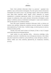 Teisės pažeidimai elektroninėje erdvėje, jų prevencija 3 puslapis