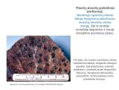 Rūkymui ne! 3 puslapis