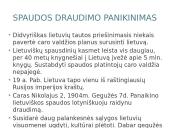 Didysis Vilniaus Seimas ir jo reikšmė 2 puslapis