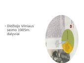 Didysis Vilniaus Seimas ir jo reikšmė 3 puslapis