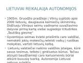 Didysis Vilniaus Seimas ir jo reikšmė 4 puslapis