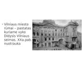 Didysis Vilniaus Seimas ir jo reikšmė 6 puslapis
