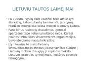 Didysis Vilniaus Seimas ir jo reikšmė 9 puslapis