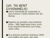 Dievų miškas. Skyrių analizė 11 puslapis