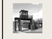 Dievų miškas. Skyrių analizė 13 puslapis