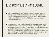 Dievų miškas. Skyrių analizė 6 puslapis