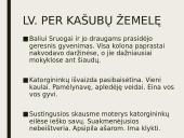 Dievų miškas. Skyrių analizė 7 puslapis