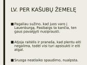 Dievų miškas. Skyrių analizė 8 puslapis