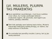 Dievų miškas. Skyrių analizė 9 puslapis