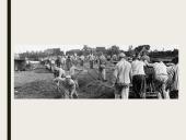 Dievų miškas. Skyrių analizė 10 puslapis