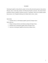 Odontologinės pagalbos ypatumai skirtingose šalyse 2 puslapis