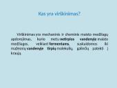 Apie fermentus ir virškinimą 2 puslapis