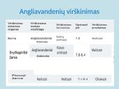 Apie fermentus ir virškinimą 11 puslapis