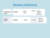 Apie fermentus ir virškinimą 13 puslapis