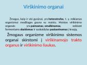 Apie fermentus ir virškinimą 4 puslapis