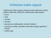 Apie fermentus ir virškinimą 5 puslapis