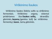 Apie fermentus ir virškinimą 6 puslapis