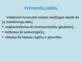 Apie fermentus ir virškinimą 9 puslapis
