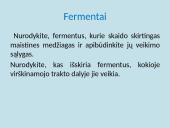 Apie fermentus ir virškinimą 10 puslapis