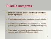 Pilietinės visuomenės sąlyga  - atsakingas žmogus 3 puslapis