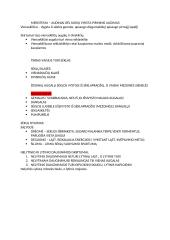 Organizmų dauginimosi teorinė medžiaga 4 puslapis