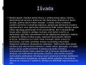 Darbuotojų atleidimo iš darbo tvarka (skaidrės) 13 puslapis