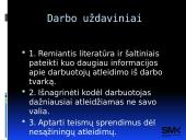 Darbuotojų atleidimo iš darbo tvarka (skaidrės) 9 puslapis