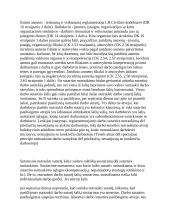 Darbuotojų iš darbo atleidimo tvarka 9 puslapis