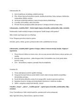 Romantizmo literatūros konspektas 2 puslapis