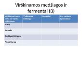 Virškinimas žmogaus organizme (skaidrės) 11 puslapis