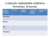 Virškinimas žmogaus organizme (skaidrės) 12 puslapis