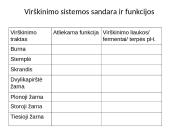 Virškinimas žmogaus organizme (skaidrės) 19 puslapis