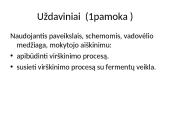 Virškinimas žmogaus organizme (skaidrės) 3 puslapis
