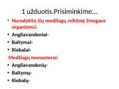 Virškinimas žmogaus organizme (skaidrės) 7 puslapis