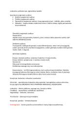 Audinių teorinė medžiaga 2 puslapis