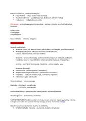 Audinių teorinė medžiaga 3 puslapis