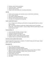 Baroko literatūros konspektas 2 puslapis