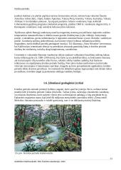 Kreidos periodas 10 puslapis