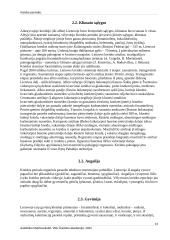 Kreidos periodas 13 puslapis