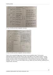 Kreidos periodas 15 puslapis