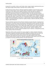 Kreidos periodas 5 puslapis