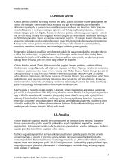 Kreidos periodas 6 puslapis