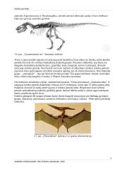 Kreidos periodas 8 puslapis