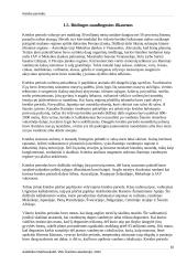 Kreidos periodas 9 puslapis